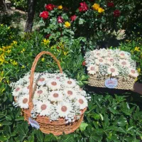 باکس و سبد شمع گل