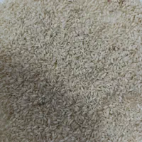 برنج عنبربو