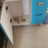 روشویی سرویس بهداشتی کابینتی|لوازم سرویس بهداشتی|کرج, شهرک جهاننما|دیوار