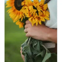 فرمالیته شمال
