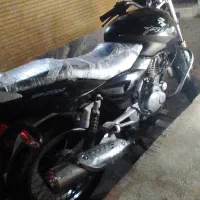 متور مزایده پالس