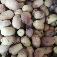 خرما خشک