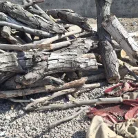 چوب سوختنی (کنده ) هیزوم|عمده‌فروشی|ملک‌آباد, |دیوار