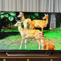 پرچمدار الجی65اینچ کره4Kهوشمند اسمارت