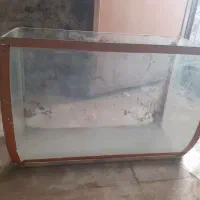 آکواریوم ماهی شیشه خم و بزرگ