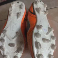 کفش چمن|کیف، کفش، کمربند|گرگان, |دیوار