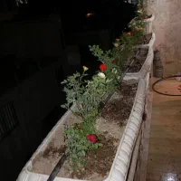 هرس و گل کاری باغ ویلا ساختمان
