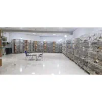 کارگر ساده خانوم