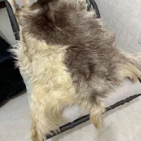 فرش پوست