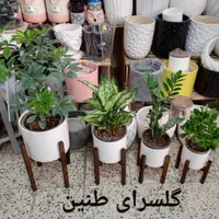 4تا پایه گل 4تا گلدون سفید|گل و گیاه طبیعی|مشهد, طلاب|دیوار