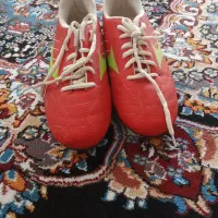 کفش ورزشی رو چمن