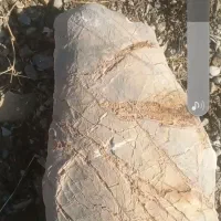 سنگ باستانی زیبا|کلکسیون اشیاء عتیقه|خمینیشهر, |دیوار