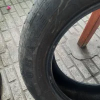لاستیک بارز|قطعات یدکی و لوازم جانبی|رشت, آزادگان|دیوار