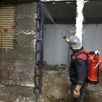 موریانه زدایی و سمپاشی تضمینی با ضمانت نامه کتبی