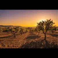 باغچه-1000متری-دارای-آب-کشاورزی-آب-شرب-و-برق