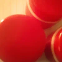 کرم شب گیاهی