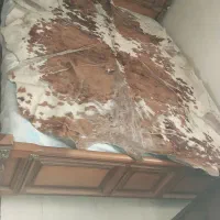 پوست گاو طبیعی بزرگ چرم دکوری