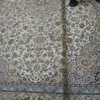 فرش|فرش|قم, حنیف نژاد|دیوار