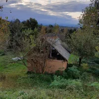 فروش زمین با یک باب خانه با امتیاز کامل|فروش خانه و ویلا|شفت, |دیوار