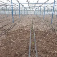 فروش پایه و پلی گلخانه