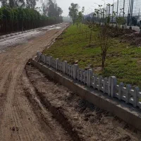 کاشت چمن طبیعی