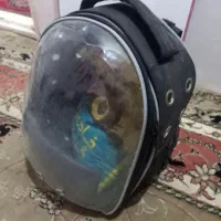 کیف حمل حیوانات همراه خاک گربه