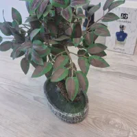 اسباب بازی و گل مصنوعی|اسباب‌‌بازی|محلات, |دیوار