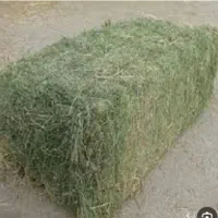 فروش یونجه