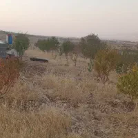 فروش باغ وملک خانه باغ سراب ایوان|فروش دفتر صنعتی، کشاورزی، تجاری|ایوان, |دیوار