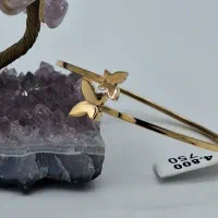 بنگل پروانه