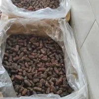 خرمای پیارم