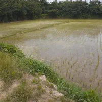 اگه-دنبال-سرمایه-گذاری-و-سود-خوب-هستی-تماس-بگیر
