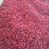 زرشک زیر تالاری لوکس (درجه یک )