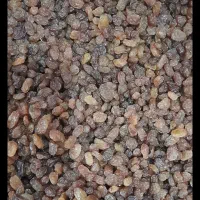 فروش کشمش افتابی و تیزآبی