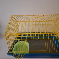 قفس|لوازم جانبی حیوانات|کرج, فاز ۱ مهرشهر|دیوار