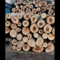 خریدار انواع چوب هستیم 24ساعته در خدمت شما