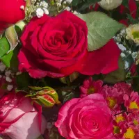 گلهای زیبا
