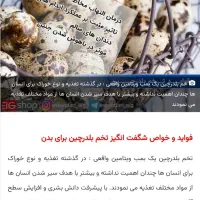 تخم بلدرچین   وایت  سنگین وزن نطفه دار  و خوراکی|خوردنی و آشامیدنی|قم, شهرک امام حسین|دیوار