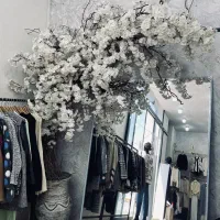 عکس خود کار