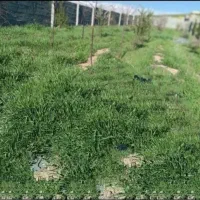 زمین دیوارکشی و برق کشی شده