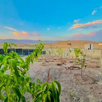 450مترزمین چهاردیواری/قابل ساخت/همراه با آب و برق|فروش زمین و ملک کلنگی|هشتگرد, کوشک زر|دیوار