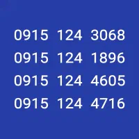 0915.124.30.68