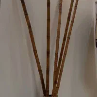 گلدون بامبو