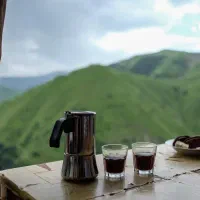 همخونه ی موجه