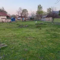 فروش فوری ۱۰۰۰متر تمام مسکونی|فروش زمین و ملک کلنگی|ماکلوان, |دیوار