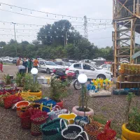 فروشنده در زیتونسرا|استخدام خدمات فروشگاه و رستوران|سنگر, |دیوار