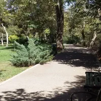 طبیعت گردی|فعالیت داوطلبانه|تهران, اکباتان|دیوار