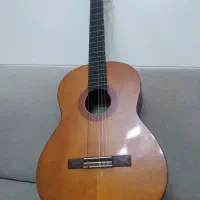 گیتار|گیتار، بیس، امپلیفایر|تهران, باغ فیض|دیوار