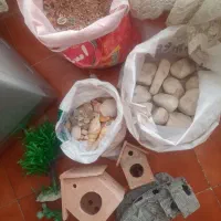 سنگ و صدف آکواریوم