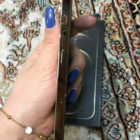 Iphone 12promax 256 Zaa %100|موبایل|ری, حمزه‌آباد|دیوار